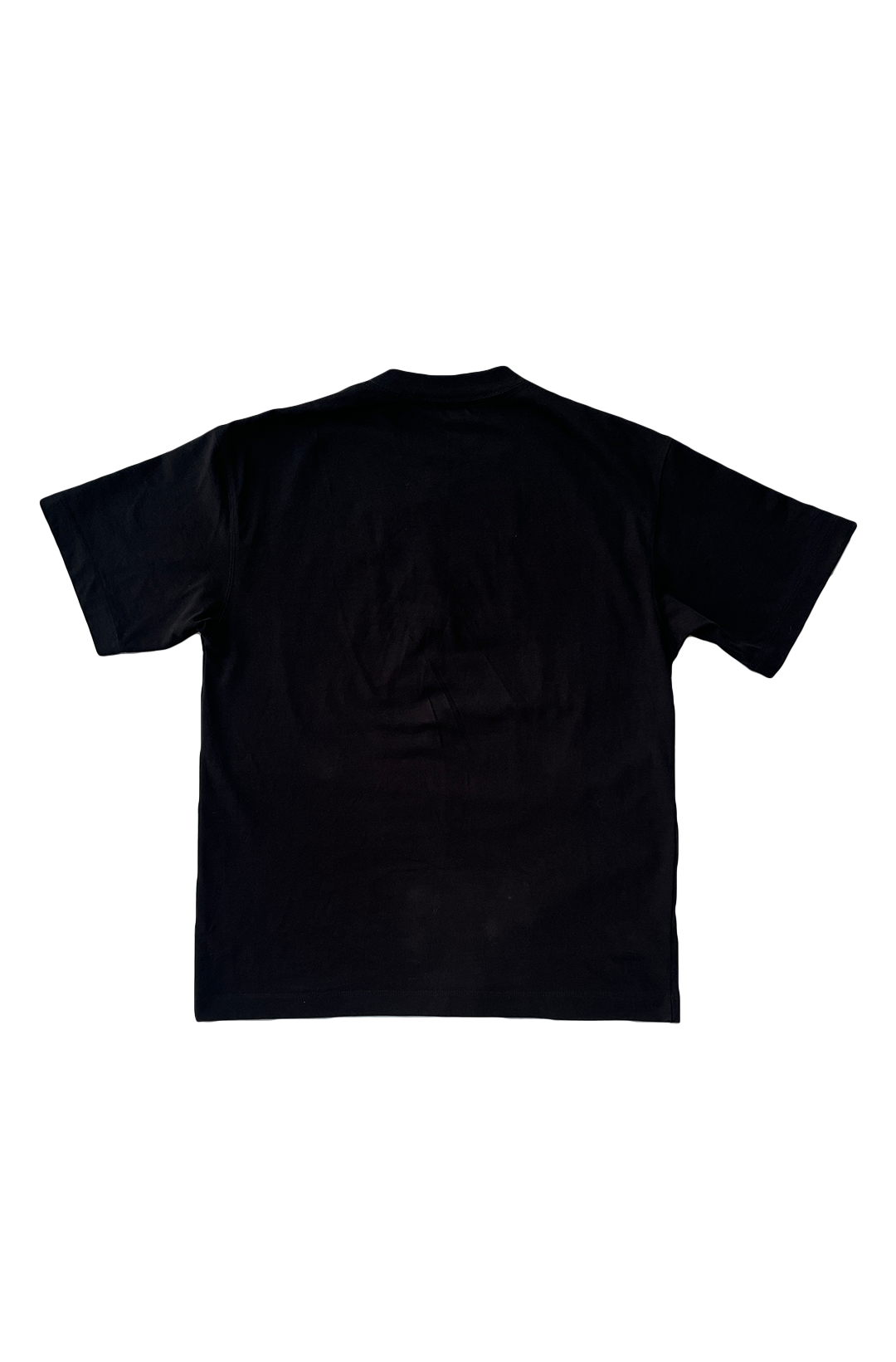 RHP 06